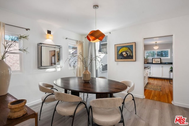 dining room with plenty of natural light and light wood-type flooring