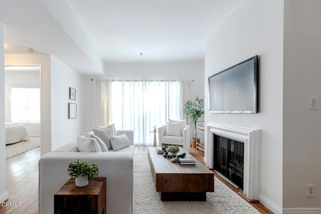 living room with light hardwood / wood-style flooring and a healthy amount of sunlight