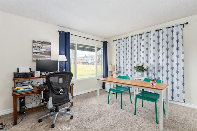 office featuring carpet flooring