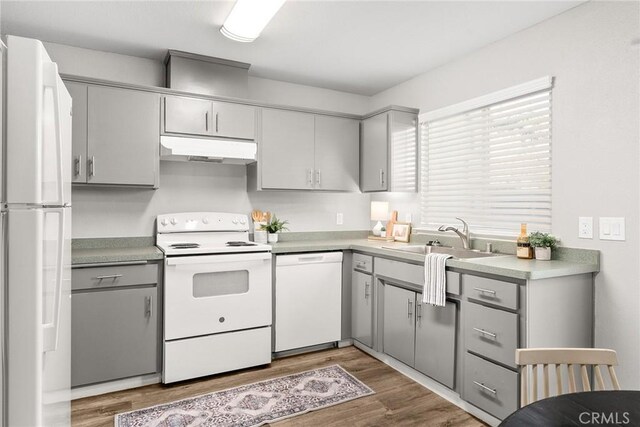 kitchen with sink, hardwood / wood-style flooring, white appliances, and gray cabinets