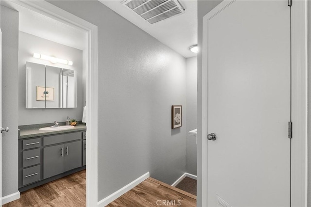 bathroom with hardwood / wood-style flooring and vanity