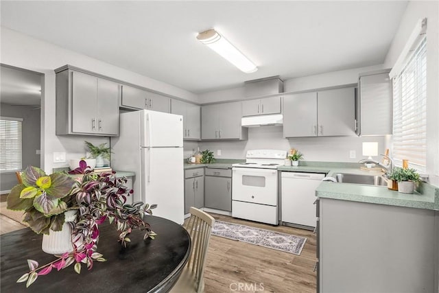 kitchen featuring wood-type flooring, sink, white appliances, and gray cabinets