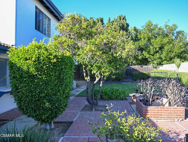 view of yard featuring a patio area