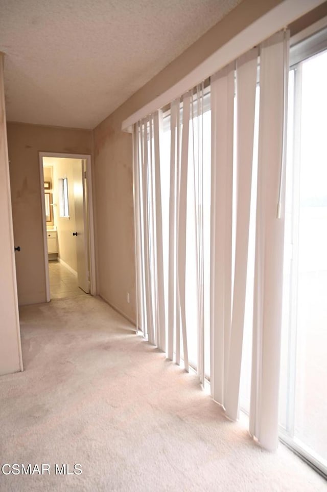 unfurnished room featuring light carpet and a textured ceiling