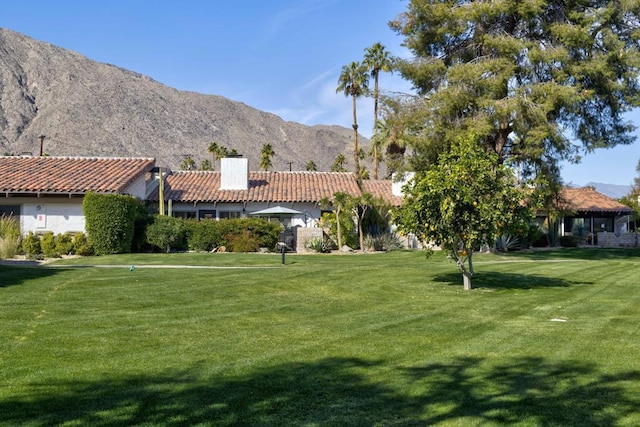 view of yard featuring a mountain view