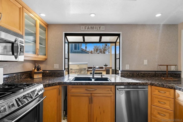 kitchen featuring sink, stainless steel appliances, and dark stone countertops