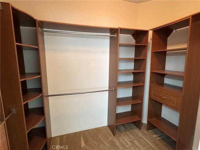 spacious closet featuring dark carpet