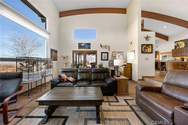 living room featuring high vaulted ceiling