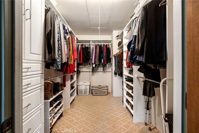 walk in closet with light carpet