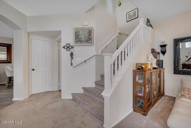 staircase featuring carpet flooring