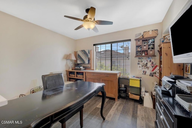 office space with ceiling fan and dark hardwood / wood-style floors