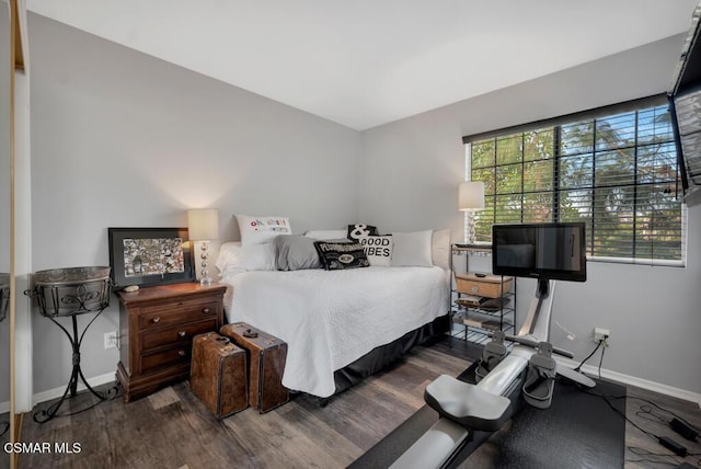 bedroom featuring multiple windows and dark hardwood / wood-style floors