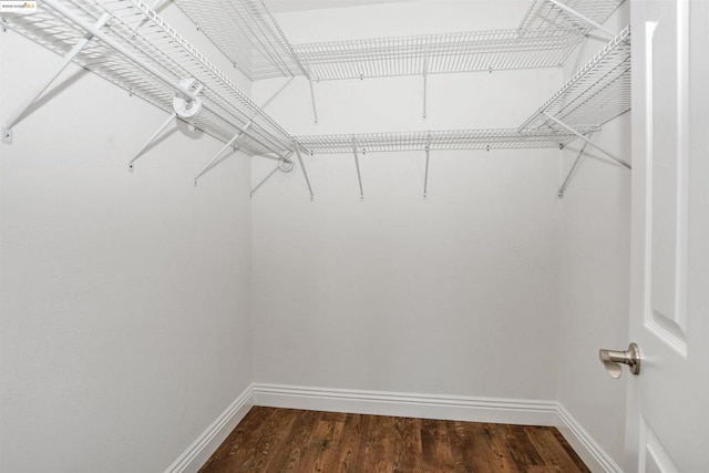 walk in closet with dark wood-type flooring