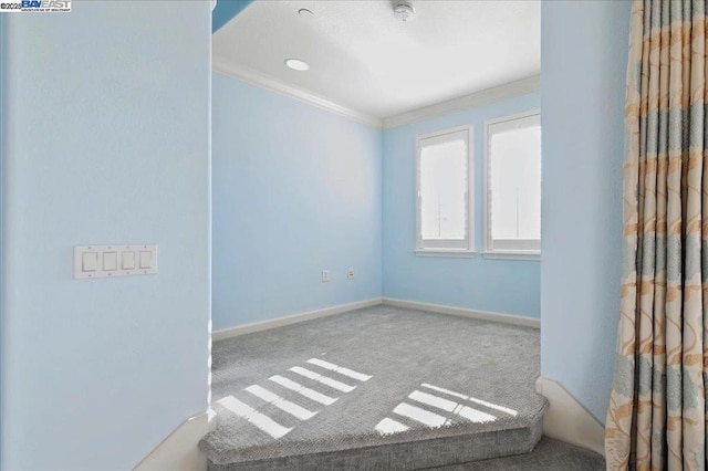 carpeted empty room with crown molding