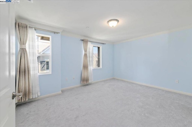 carpeted empty room featuring crown molding