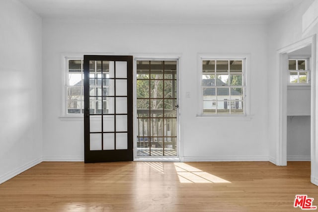 doorway to outside featuring light wood-type flooring