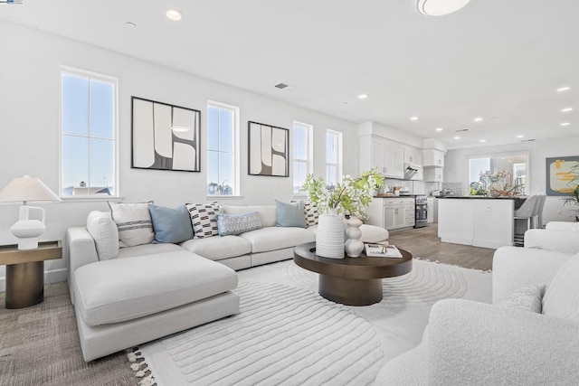 living room with hardwood / wood-style flooring and plenty of natural light