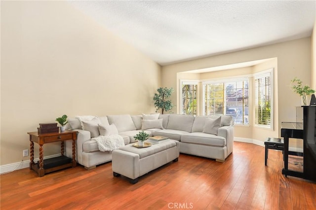 living room with dark hardwood / wood-style flooring