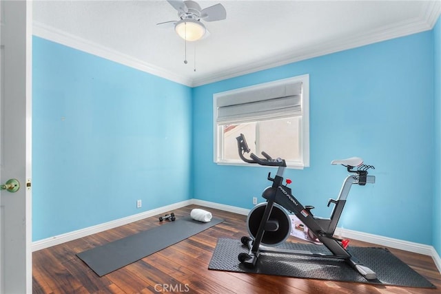 exercise room featuring ornamental molding, dark hardwood / wood-style floors, and ceiling fan