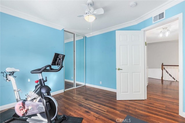 workout area with crown molding, dark hardwood / wood-style floors, and ceiling fan