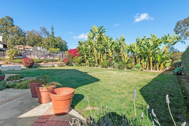 view of yard featuring a patio area and fence