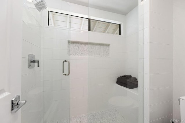 full bathroom featuring a shower stall and toilet