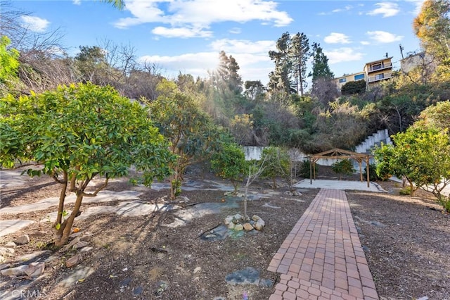 view of yard featuring a patio area