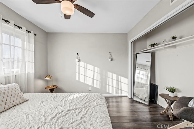 bedroom featuring ceiling fan, a closet, and dark hardwood / wood-style flooring