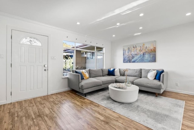 living room featuring ornamental molding and light hardwood / wood-style flooring