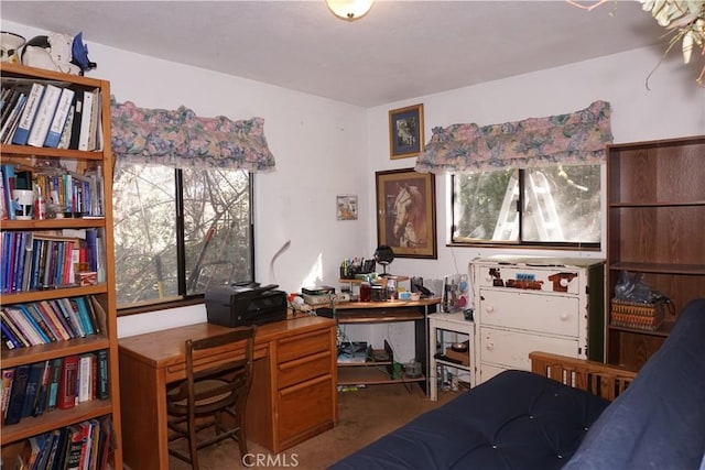 office space featuring plenty of natural light and carpet