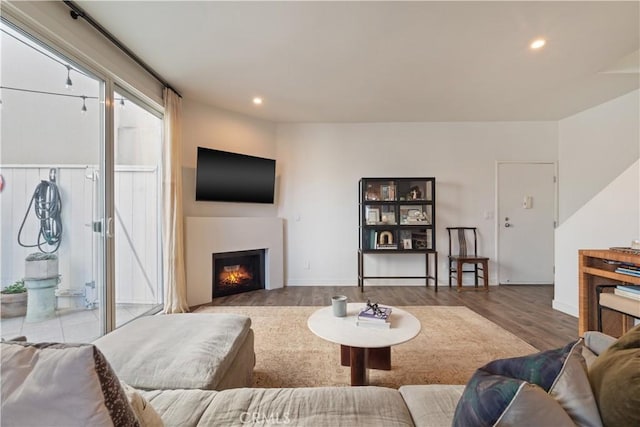 living room with hardwood / wood-style flooring