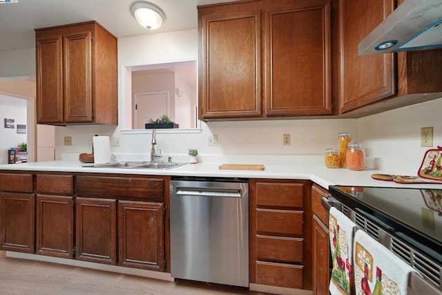 kitchen featuring sink, ventilation hood, electric range, light wood-type flooring, and stainless steel dishwasher