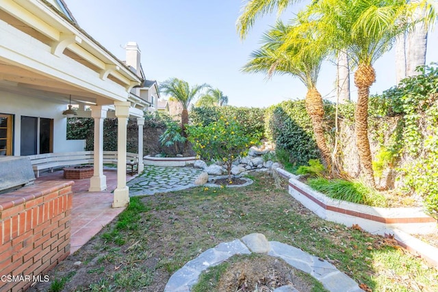 view of yard featuring a patio