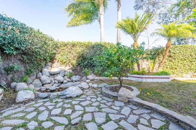 view of yard with a patio area