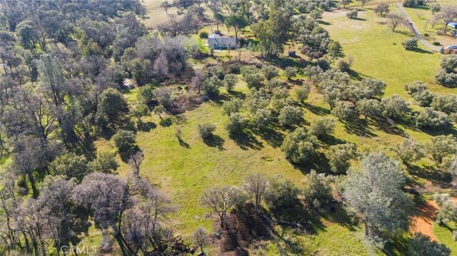 231 Rutherford Ln, Oroville, CA 95966 - photo 36