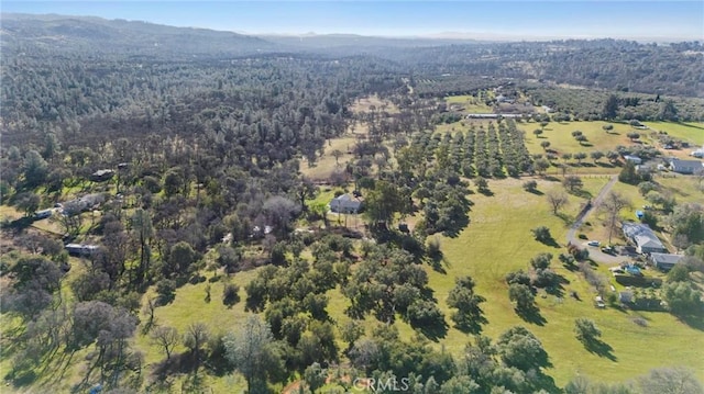 aerial view with a mountain view