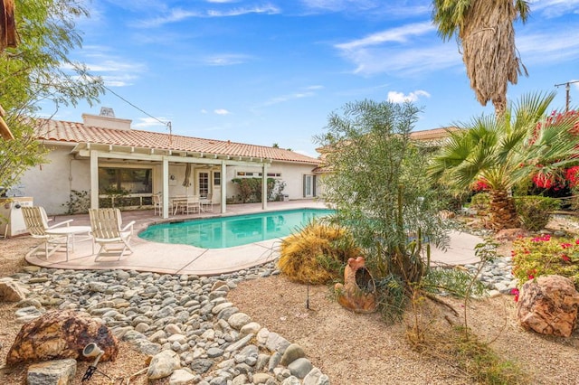 view of swimming pool with a patio