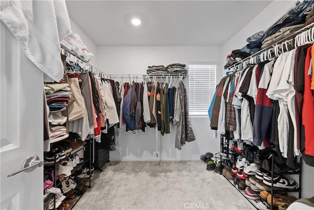 walk in closet with carpet floors