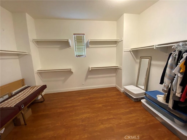 walk in closet featuring hardwood / wood-style floors