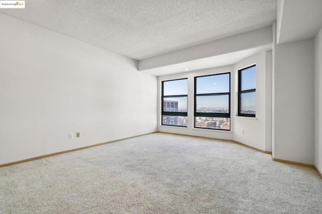 unfurnished room with a textured ceiling and light carpet