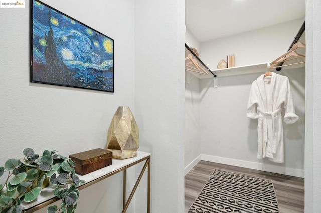 spacious closet with wood-type flooring