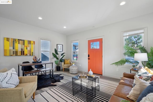 living room featuring light hardwood / wood-style flooring