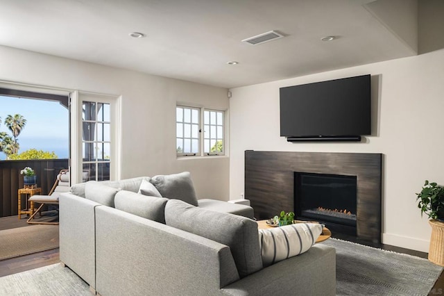 living room featuring wood-type flooring