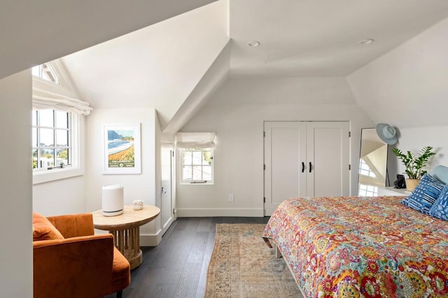 bedroom featuring vaulted ceiling and dark hardwood / wood-style flooring