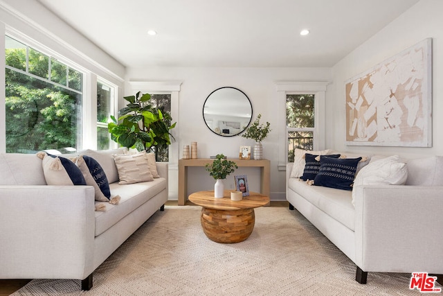 living room featuring hardwood / wood-style flooring and plenty of natural light