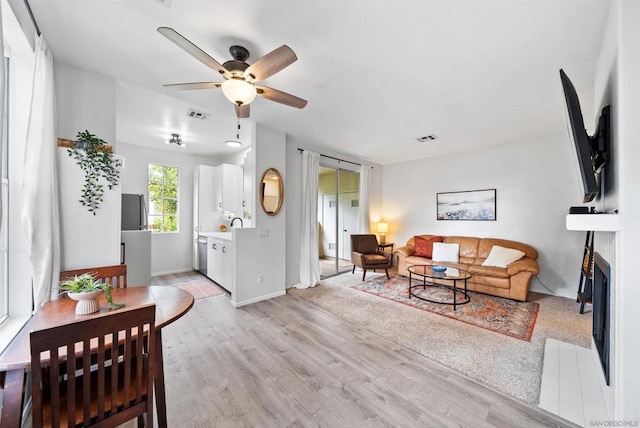 living room featuring sink, ceiling fan, and light wood-type flooring