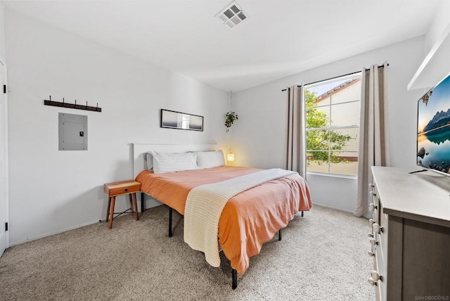 carpeted bedroom featuring electric panel