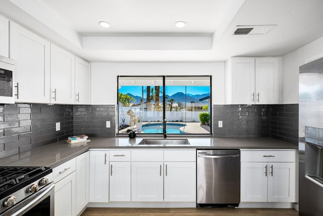 kitchen with sink, backsplash, stainless steel appliances, a tray ceiling, and white cabinets