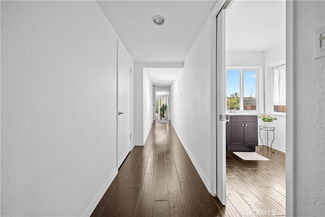 corridor featuring dark wood-type flooring