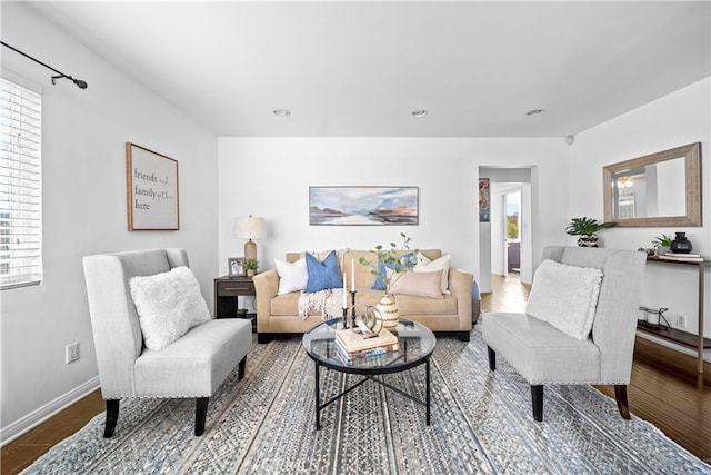 living room featuring hardwood / wood-style floors